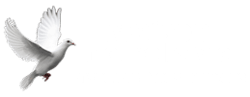 Maison Nouvelle Vie logo
