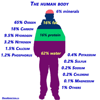  Human body and its eements.