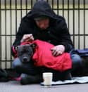  A homeless man with his dog.