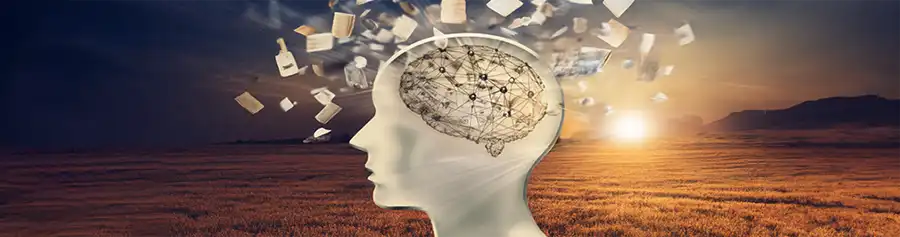  How drugs and alcohol affects people.