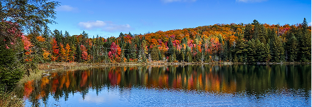 Ontario landscape