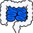 intestine-icon